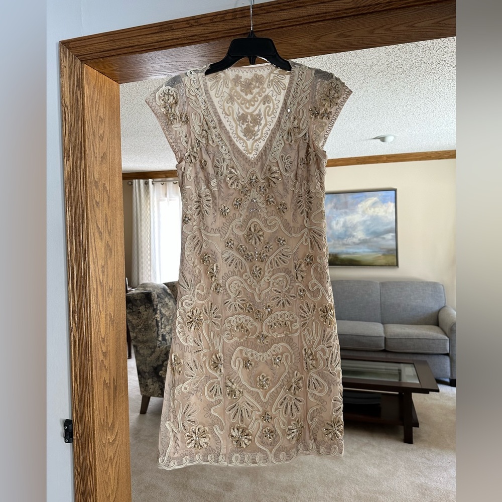 Sue Wong champagne dress, short with cap sleeve and mesh embroidered overlay.